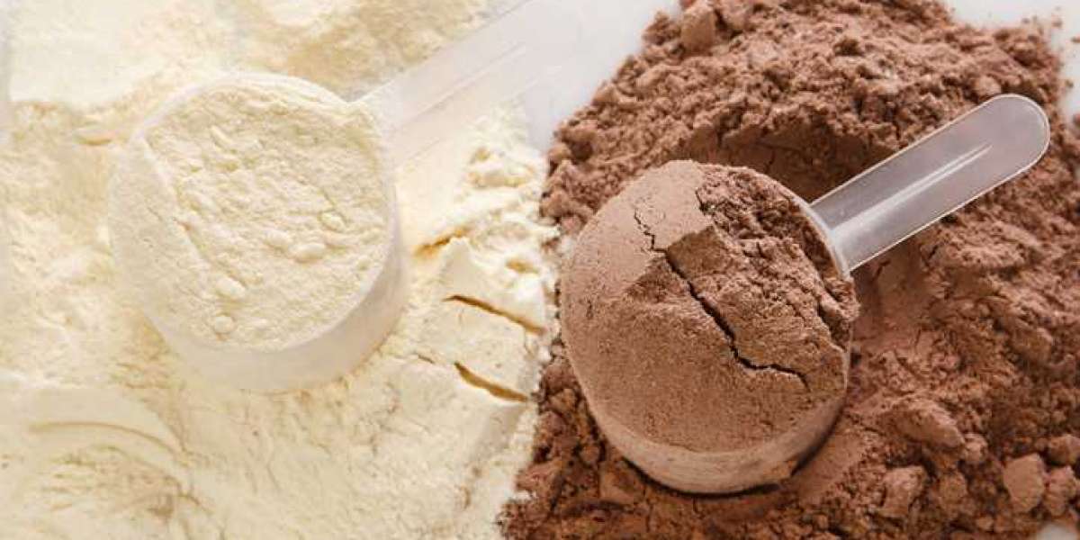 Protein Powder Manufacturing Plant Project Report 2023: Manufacturing Process, Business Plan