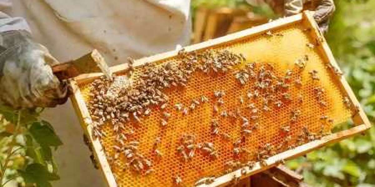 Honey Bee Farming Manufacturing Plant Project Report: Manufacturing Process, and Cost Analysis