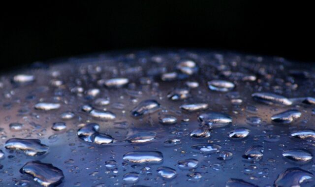 rain, drops, water, nature, raindrops, solar panel