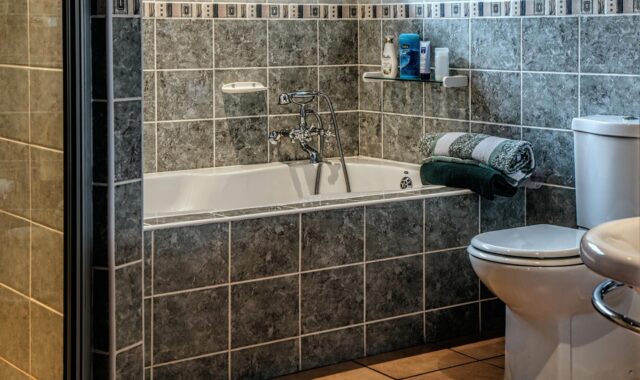 bathroom, bath, tub, toilet, bathtub, towel, clean, wash, tile, home, house, hotel, bathroom, bathroom, bathroom, bathroom, bathroom, toilet, toilet, toilet