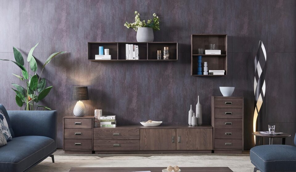 tv cabinet, wall, interior design, cabinet, chest of drawers, shelves, plants, furniture, decoration, living room, room, interior, nature, house