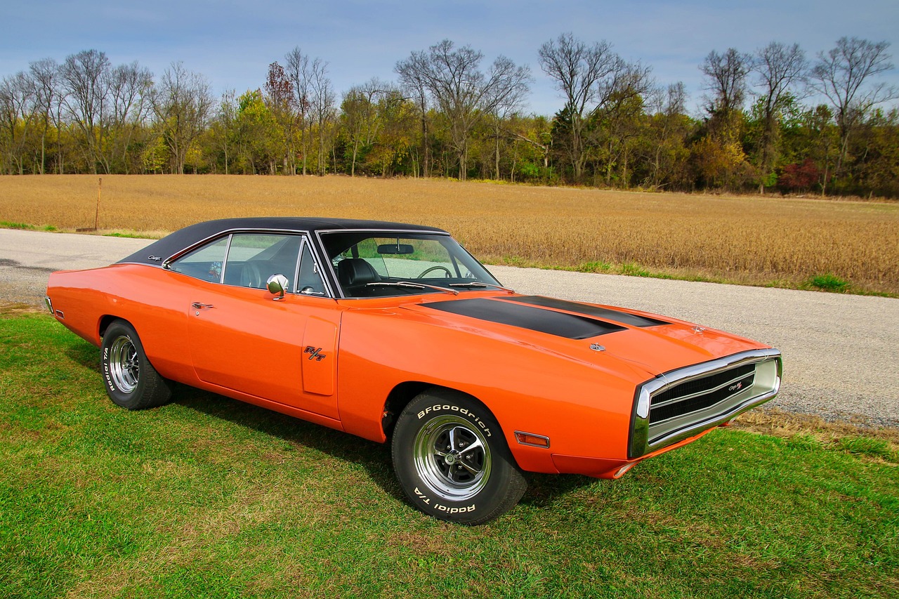 field, charger, car, car wallpapers, muscle, dodge