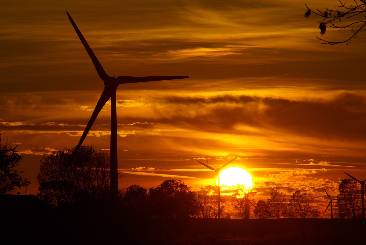 pinwheels, electricity, power generation, alternative electricity generation, environmentally friendly, energy, energy transition, wind farm, propeller, wind power, renewable energy, landscape