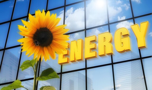energy, sunflower, writing, solar, skyscraper, photovoltaic, flower background, solar energy, nuclear phaseout, yellow, beautiful flowers, demand for electricity, electricity production, solar cells, sunbeams, electricity, animal, insect, flower, flora, flower wallpaper, blossom, bloom, clouds, reflection, heaven, renewable, alternatively, energy generation, nature, solar technology