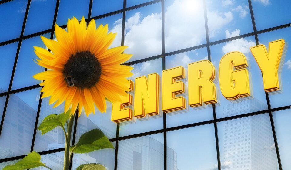 energy, sunflower, writing, solar, skyscraper, photovoltaic, flower background, solar energy, nuclear phaseout, yellow, beautiful flowers, demand for electricity, electricity production, solar cells, sunbeams, electricity, animal, insect, flower, flora, flower wallpaper, blossom, bloom, clouds, reflection, heaven, renewable, alternatively, energy generation, nature, solar technology