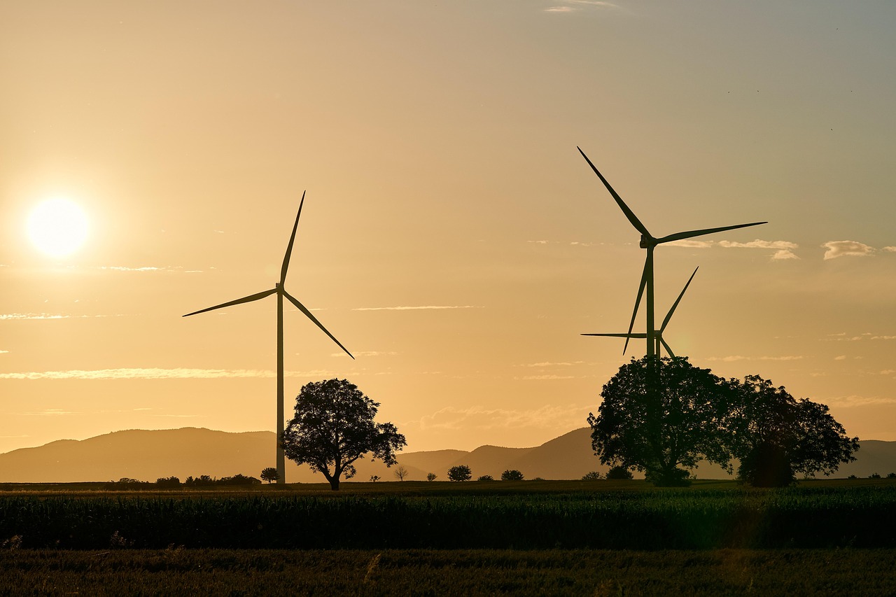 pinwheels, energy, electricity, renewable, wind energy, sunset, wind farm, nature, dusk, trees, landscape