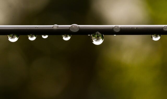 drop, raindrop, nature, green, sharp, capillary action, beautiful wallpaper, wallpaper 4k, minimalism, reflection, mac wallpaper, wallpaper hd, bubble, macro, outdoor, focused, calm, free wallpaper, windows wallpaper, cool backgrounds, free background, desktop backgrounds, symmetrical, background, hd wallpaper, full hd wallpaper, 4k wallpaper, wet, wire, macro lens, laptop wallpaper, 4k wallpaper 1920x1080, macro photography, water drop