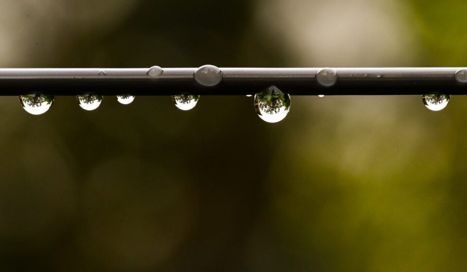 drop, raindrop, nature, green, sharp, capillary action, beautiful wallpaper, wallpaper 4k, minimalism, reflection, mac wallpaper, wallpaper hd, bubble, macro, outdoor, focused, calm, free wallpaper, windows wallpaper, cool backgrounds, free background, desktop backgrounds, symmetrical, background, hd wallpaper, full hd wallpaper, 4k wallpaper, wet, wire, macro lens, laptop wallpaper, 4k wallpaper 1920x1080, macro photography, water drop