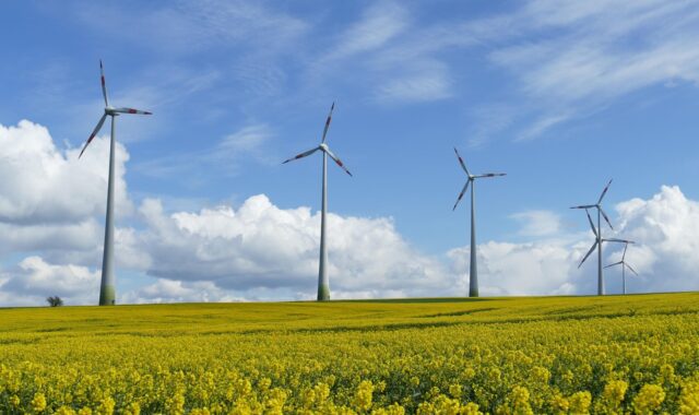 wind power, landscape, clouds, heaven, green, blue, beautiful, oilseed rape, rape blossom, crop, flower background, rapeseed oil, flower wallpaper, sunbeams, meadow, nature, beautiful flowers, flower, field, rural, plant, yellow
