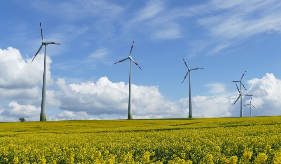 wind power, landscape, clouds, heaven, green, blue, beautiful, oilseed rape, rape blossom, crop, flower background, rapeseed oil, flower wallpaper, sunbeams, meadow, nature, beautiful flowers, flower, field, rural, plant, yellow