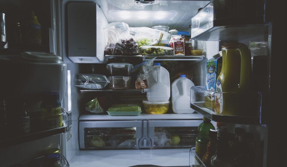bottles, food, gallon, inside, light, milk, refrigerator, shelf, vegetables, refrigerator, refrigerator, refrigerator, refrigerator, refrigerator