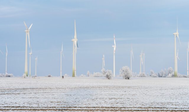 pinwheels, winter, snow, cold, nature, frost, energy, wind energy, field, renewable energy, environment, wind, landscape, wind farm, winter landscape