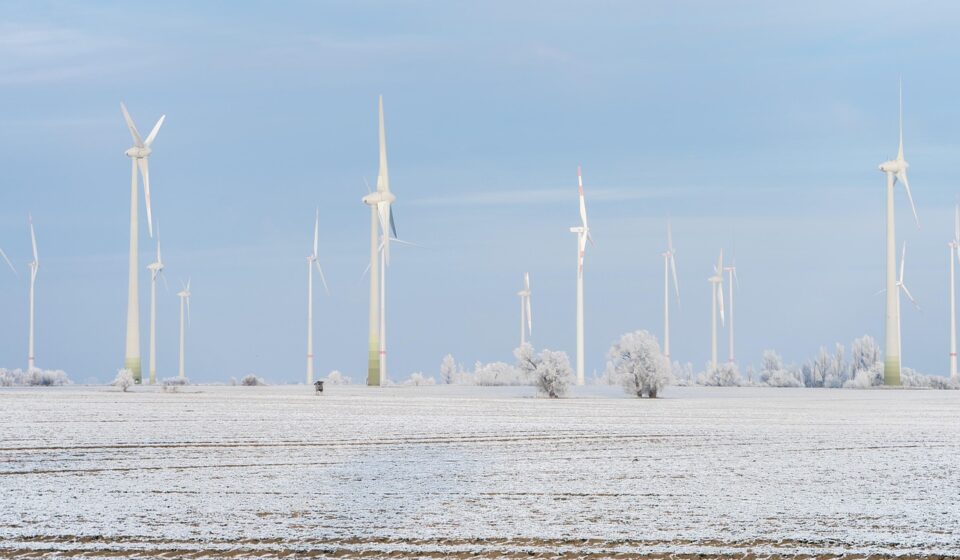 pinwheels, winter, snow, cold, nature, frost, energy, wind energy, field, renewable energy, environment, wind, landscape, wind farm, winter landscape