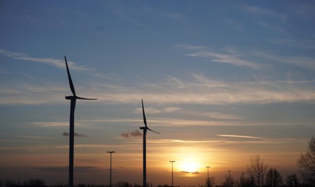 windmills, wind farm, wind energy, wind turbines, sunset, renewable energy, climate, climate change, energy transition, nature, wind, turbine
