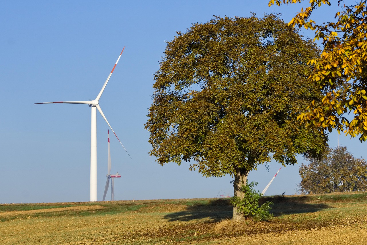 windmill, tree, wind energy, heaven, landscape, nature, wind power, energy, electricity, power generation, wind turbine, hill, mountain, renewable energy, green, technology, propeller, blue, turbine, renewable, climate protection